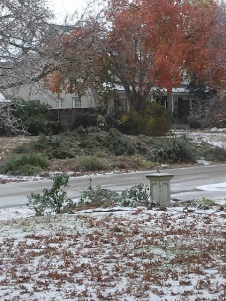 2013-12-07 10.53.49.jpg